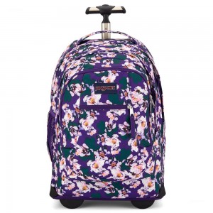 Mochila Para Portátil Jansport Driver 8 Rolling Moradas | CO3217IS