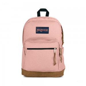 Mochila Para Portátil Jansport Right Pack Rosas | CO3173UT