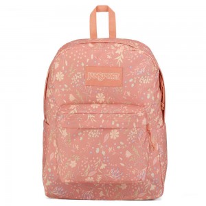 Mochilas Jansport SuperBreak® Plus - Laptop Rosas | CO3286PQ