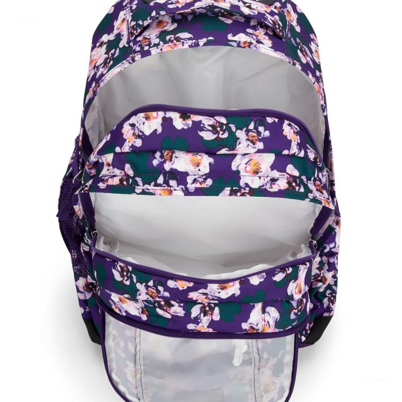 Mochilas Jansport Driver 8 Rolling Moradas | CO3248EX