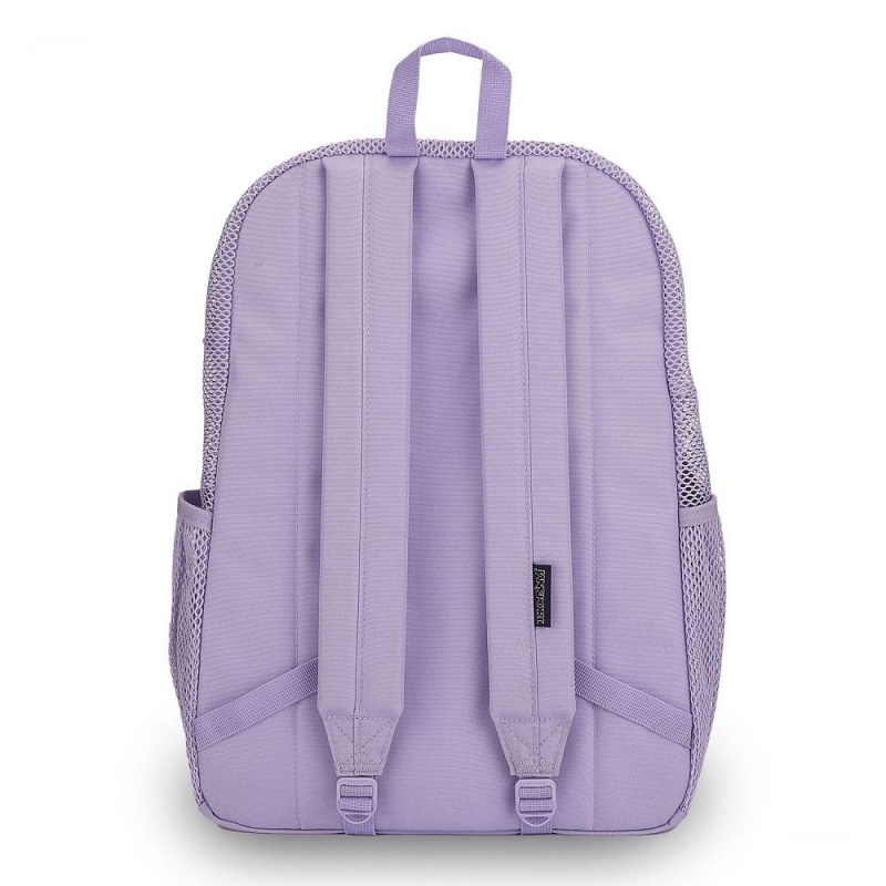 Mochilas Jansport ECO MESH PACK Moradas | CO3369BC